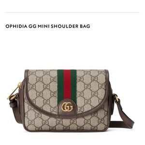 Gucci Ophidia GG Mini Bag - Brown and Green